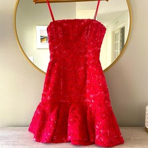 NWOT. BCBG strapless dress.